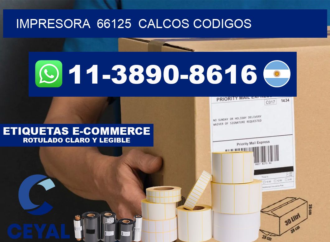 impresora  66125  calcos codigos
