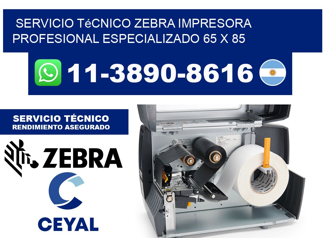 Servicio Técnico Zebra Impresora Profesional Especializado 65 x 85
