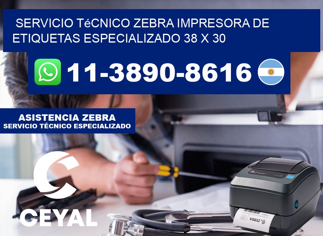 Servicio Técnico Zebra Impresora de Etiquetas Especializado 38 x 30