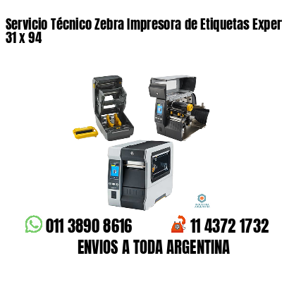 Servicio Técnico Zebra Impresora de Etiquetas Experto 31 x 94