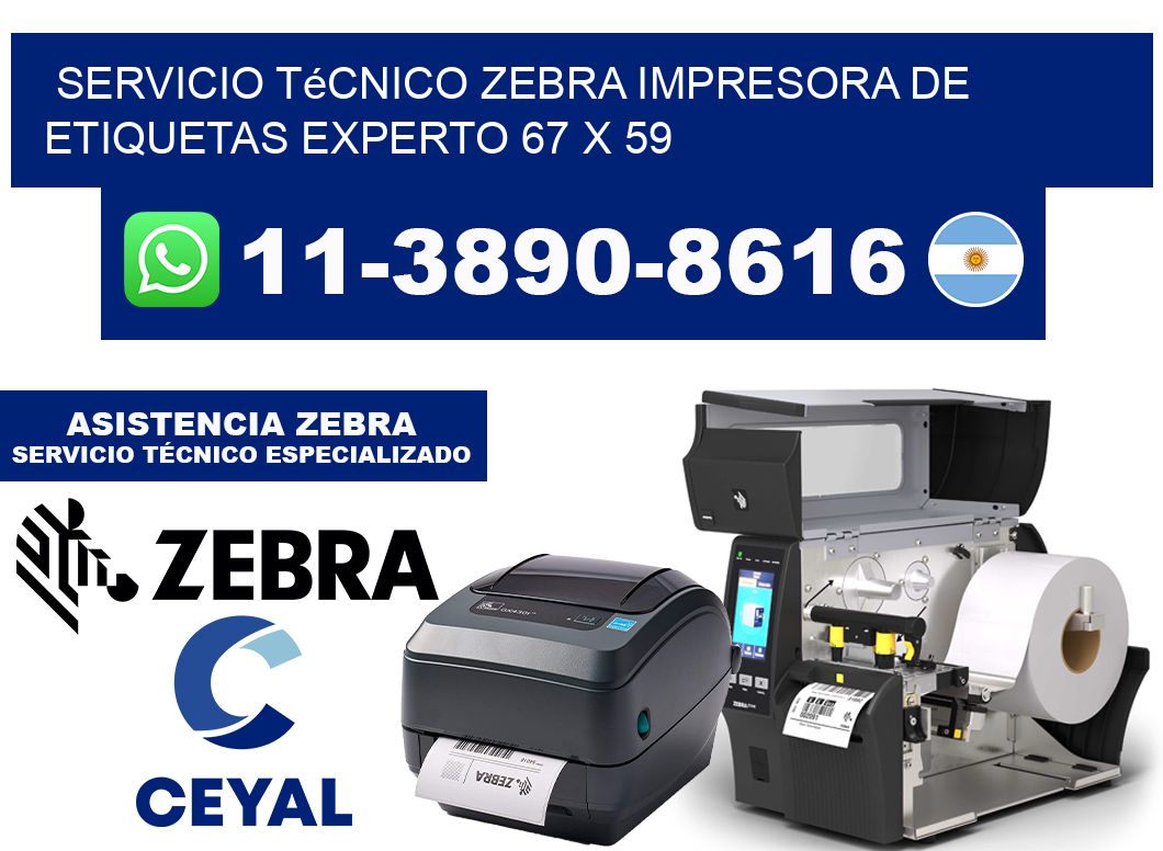 Servicio Técnico Zebra Impresora de Etiquetas Experto 67 x 59