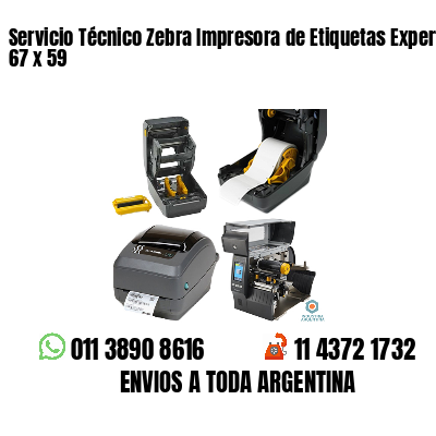 Servicio Técnico Zebra Impresora de Etiquetas Experto 67 x 59