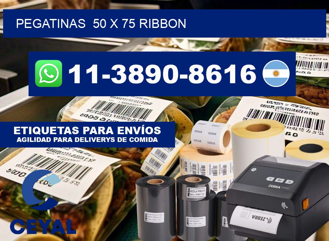 pegatinas 50 x 75 ribbon