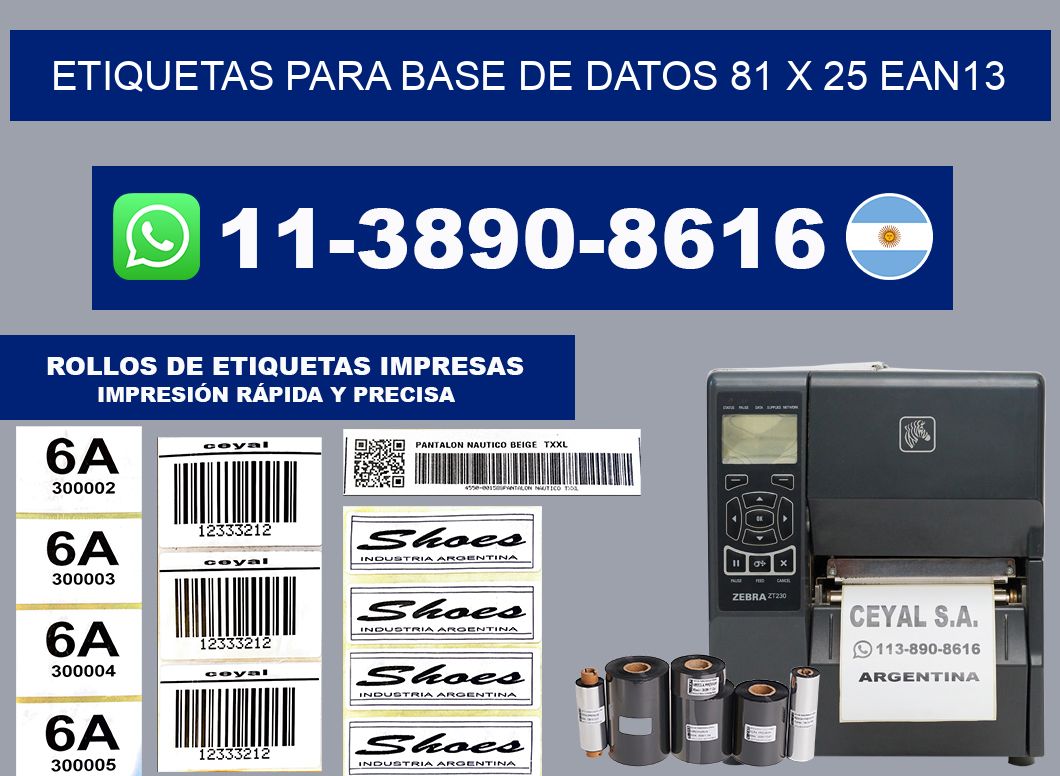 etiquetas para base de datos 81 x 25 ean13