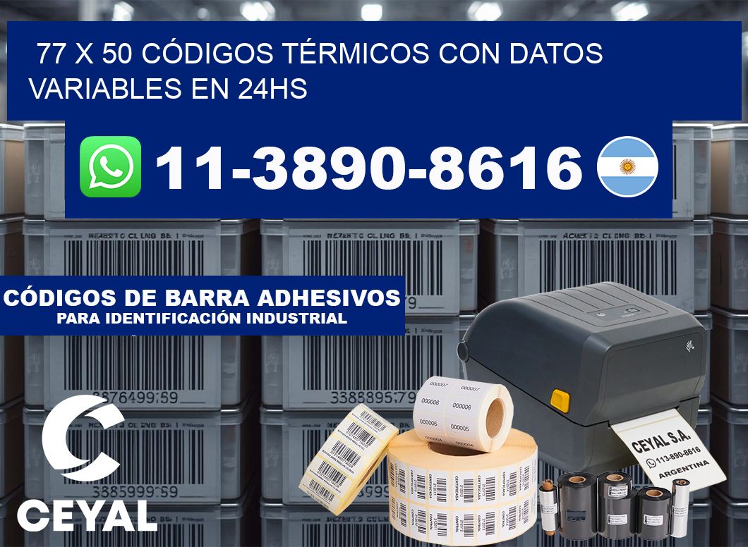 77 x 50 CÓDIGOS TÉRMICOS CON DATOS VARIABLES EN 24HS