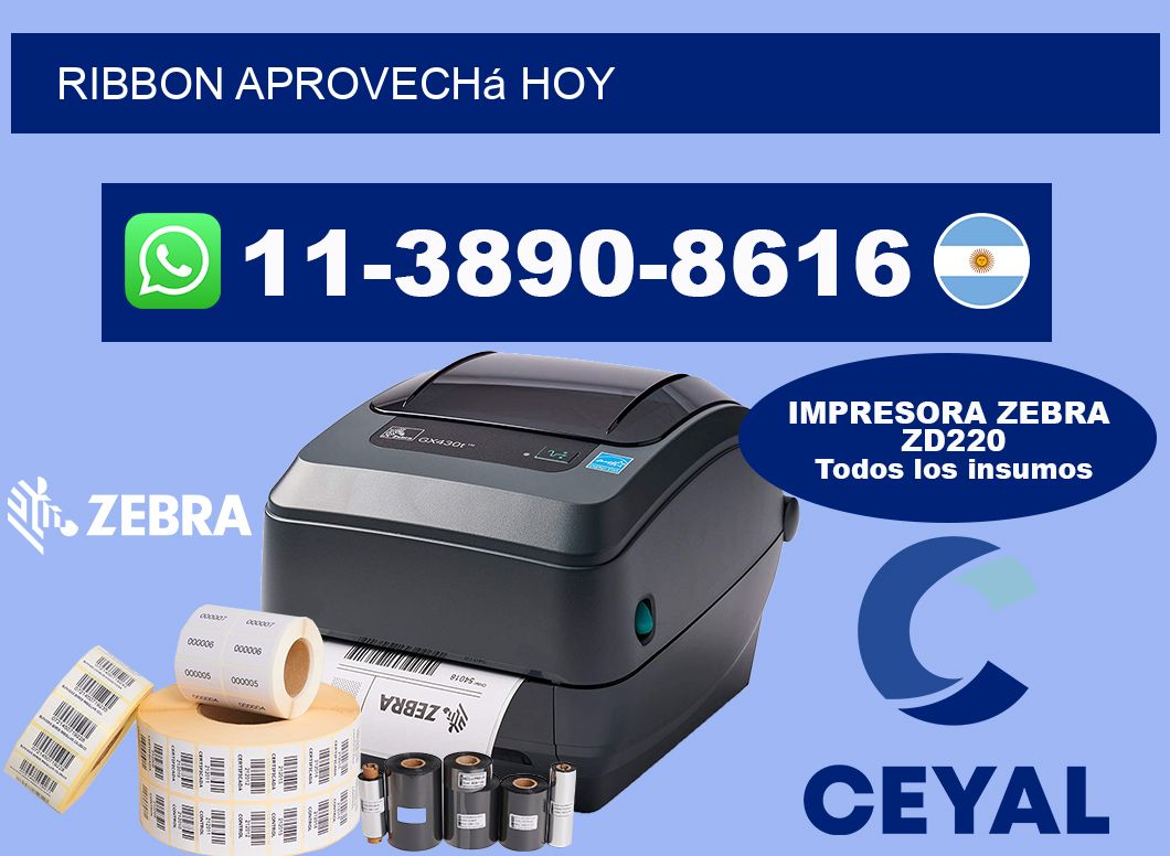 ribbon Aprovechá hoy
