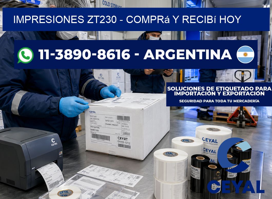 Impresiones ZT230 - Comprá y recibí hoy